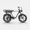 Ape Ryder A10 Fatbike Zwart - 25KM/H