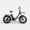 Engwe L20 Fatbike Zwart