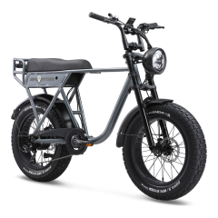 Ape Ryder A10 Fatbike Grijs - 25KM/H